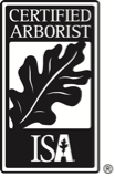 ISA Logo